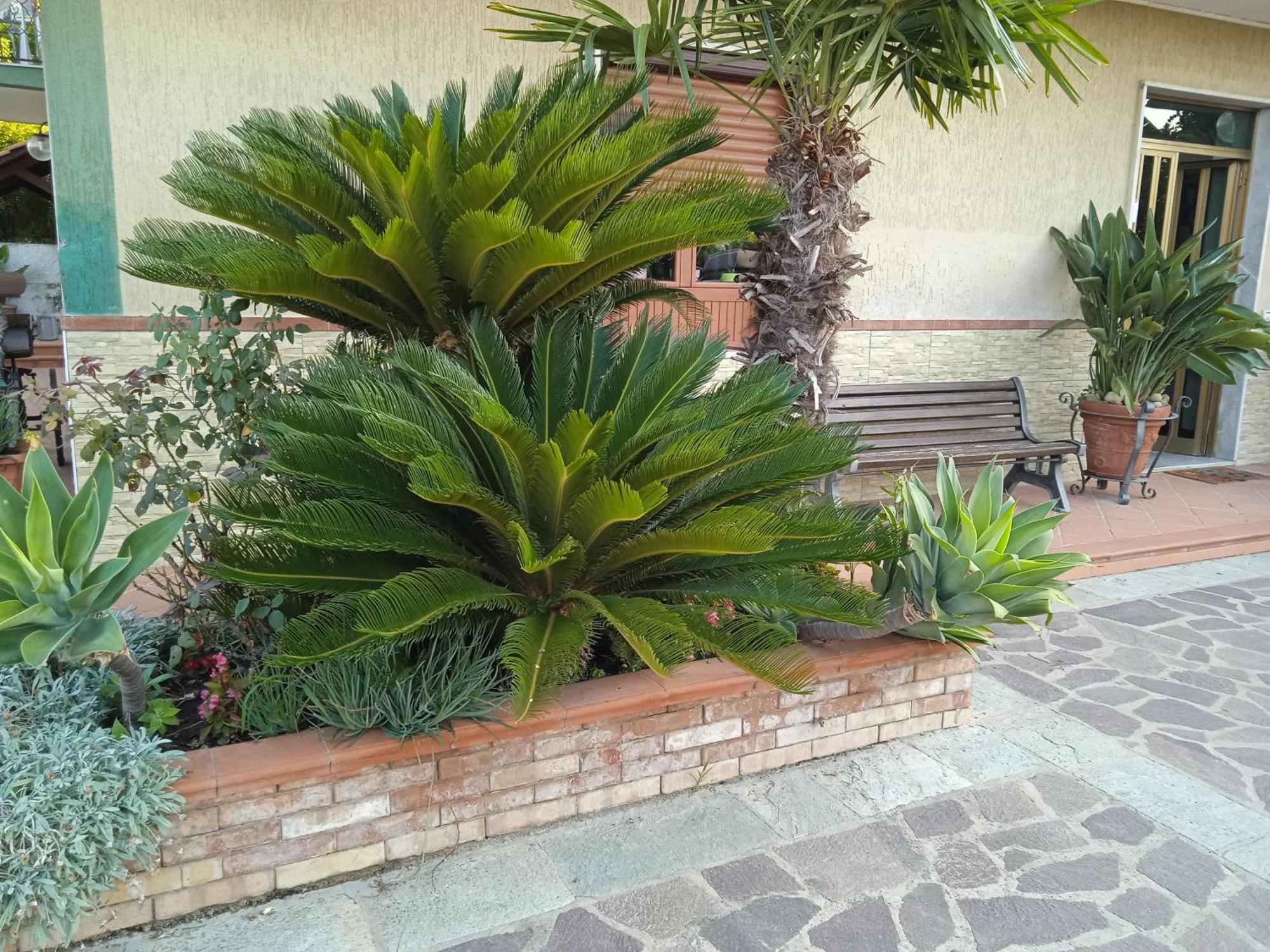 B&B La Porta Del Cilento Capaccio Exterior foto